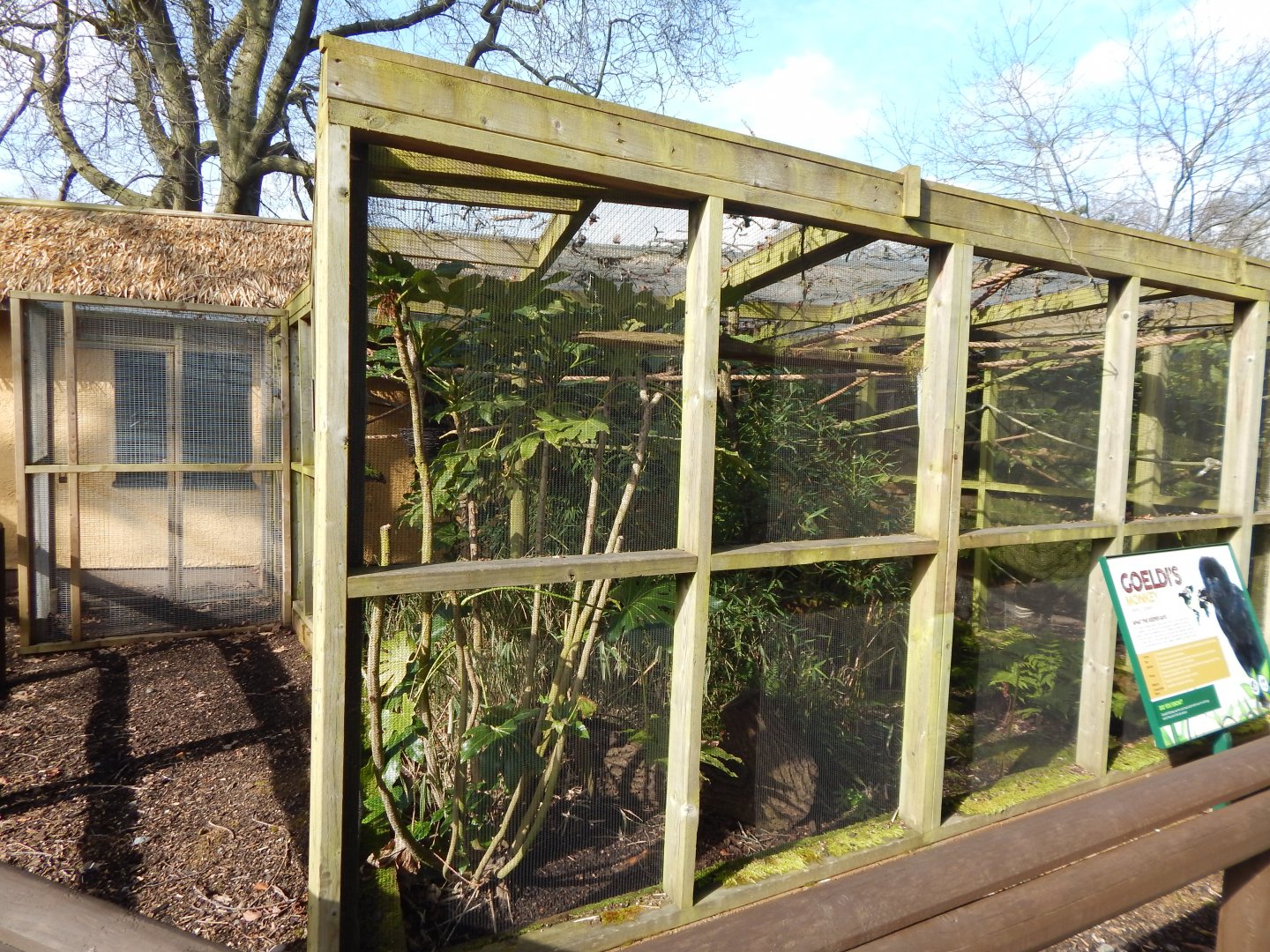 Tamarin Trail - Goeldi's monkey habitat 040324