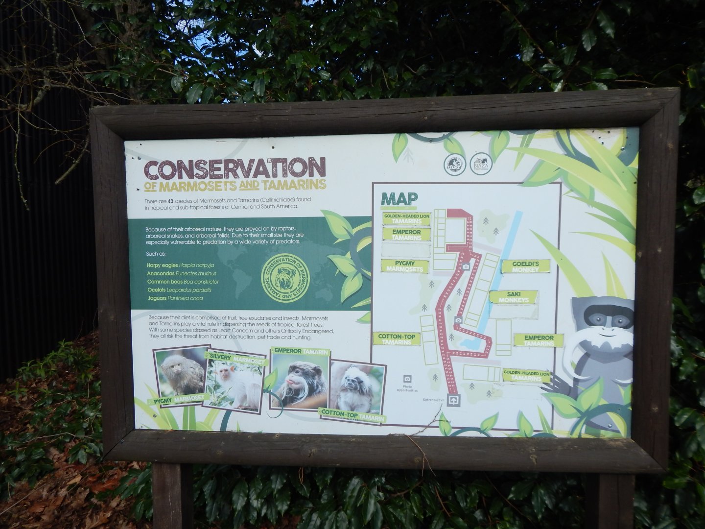 Tamarin Trail map 040324