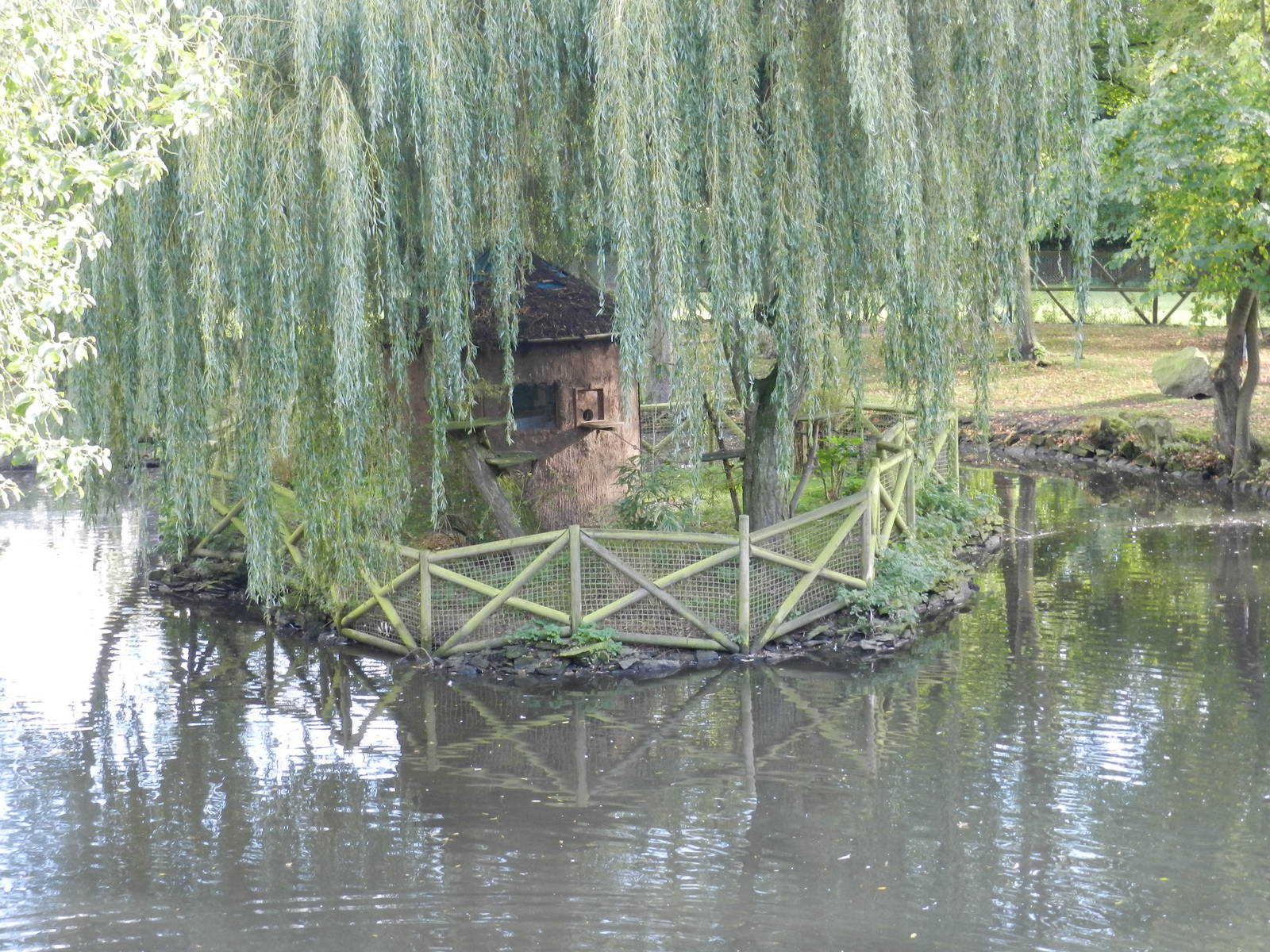 Tamarin Tree at Flamingo Land - 14/10/2012