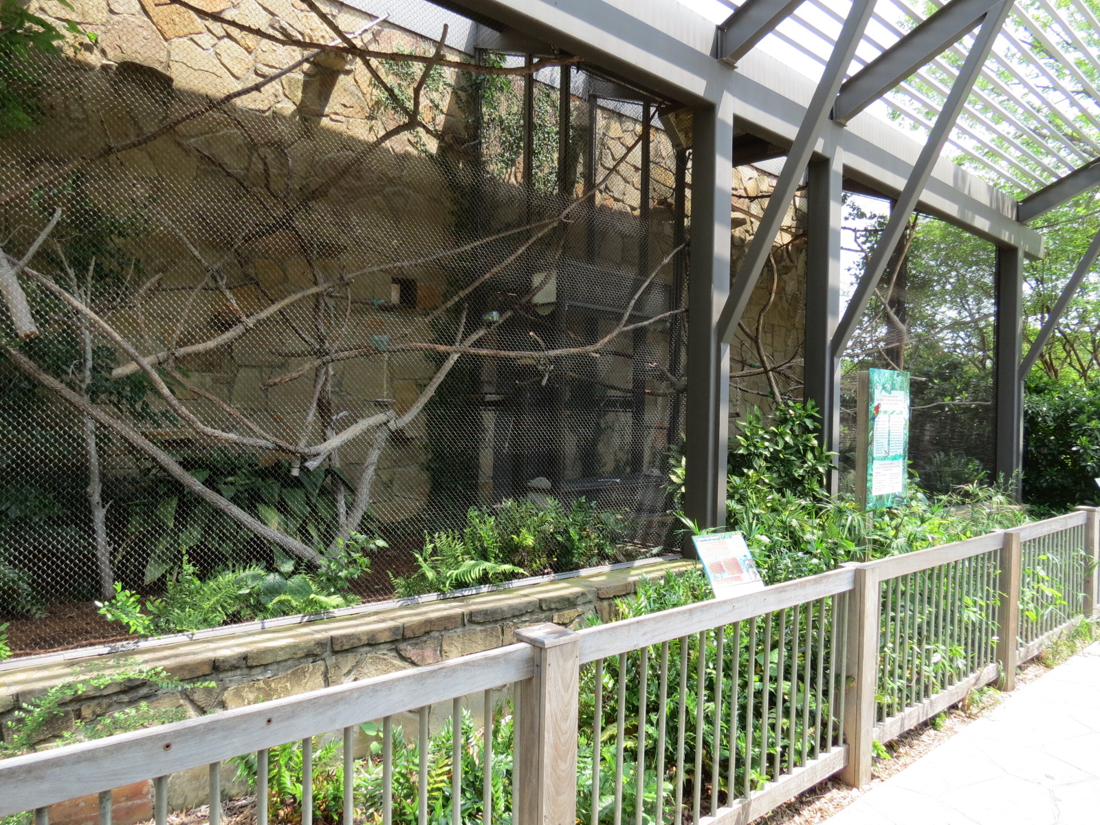 Tamarin Treetops - Cottontop Tamarin Exhibit