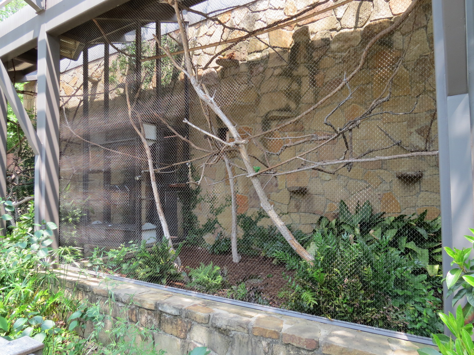 Tamarin Treetops - Golden Lion Tamarin Exhibit