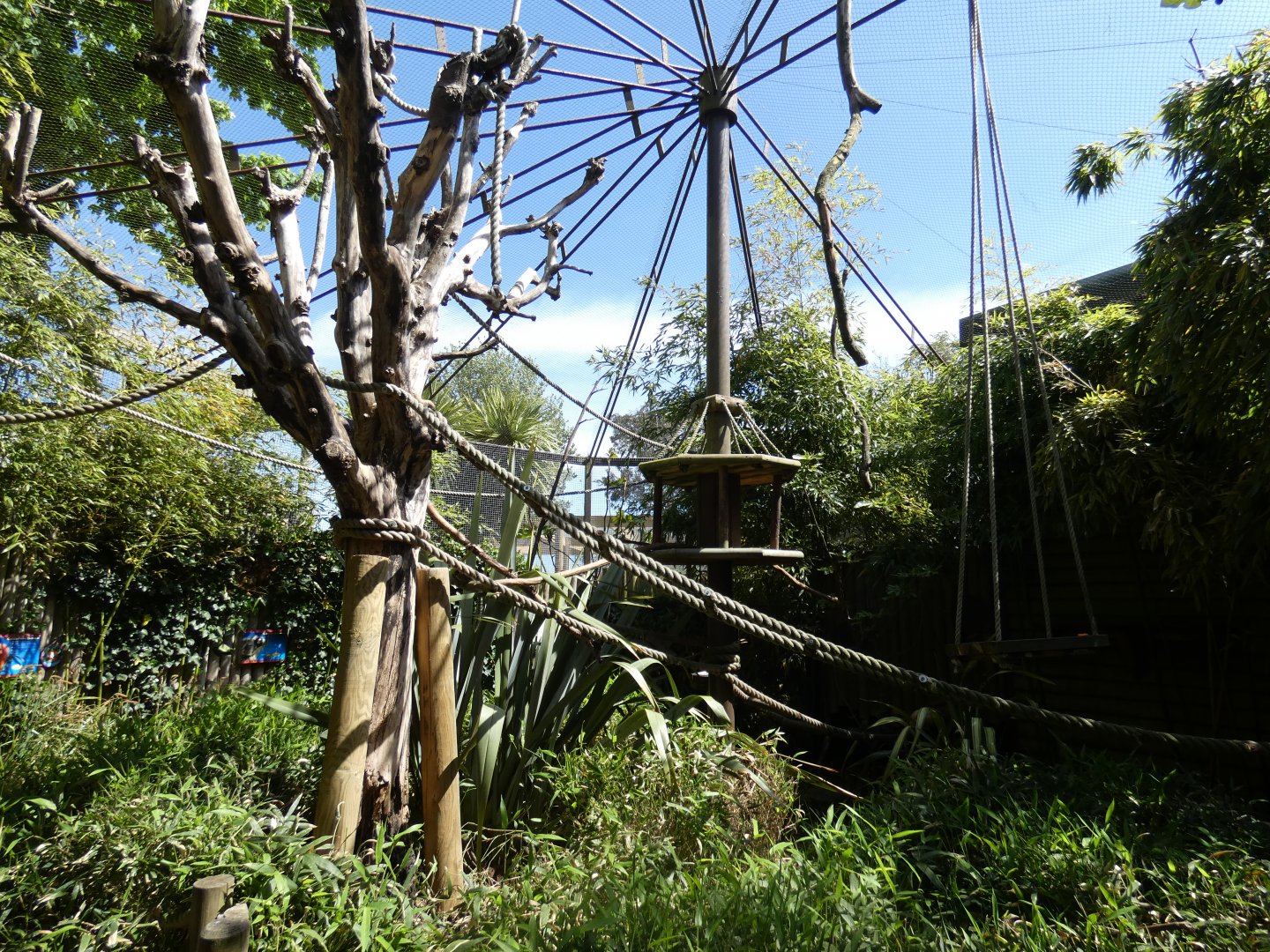 Tamarin walk-through enclosure