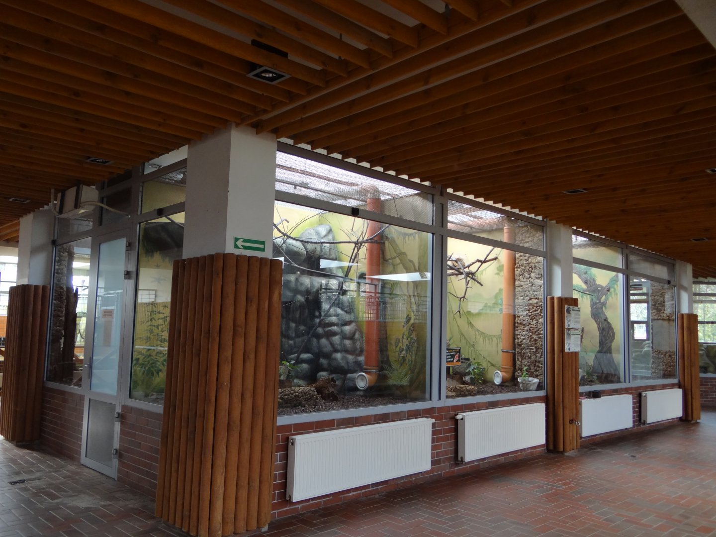 Tamarines exhibits in Antelope House