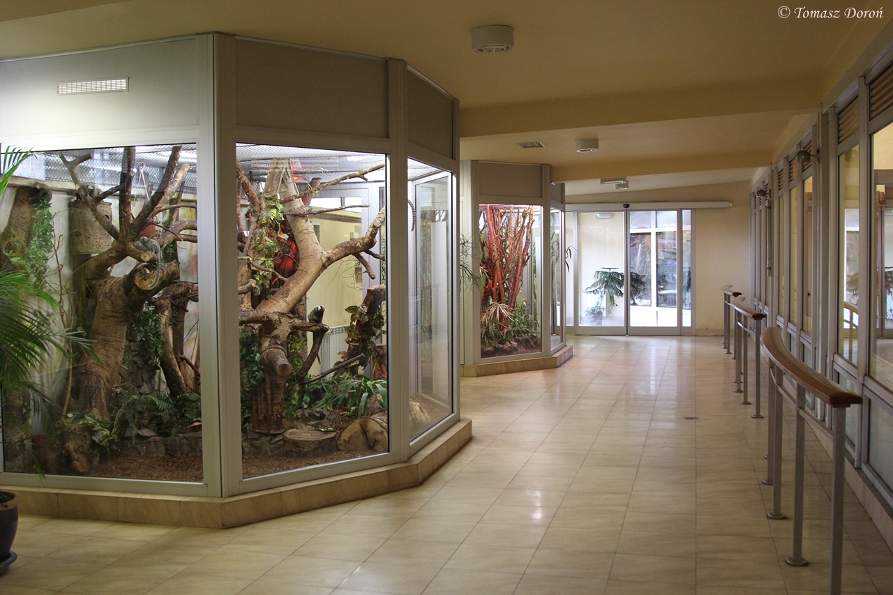 Tamarins enclosures in Giraffes House