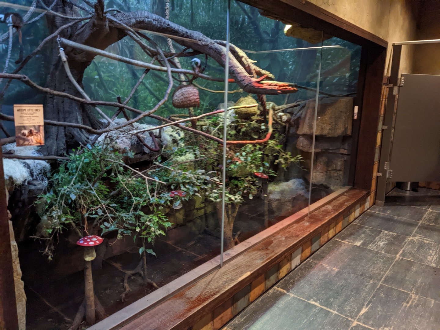 Tamarins In Womens Restrooms - Andean Bear Exhibit