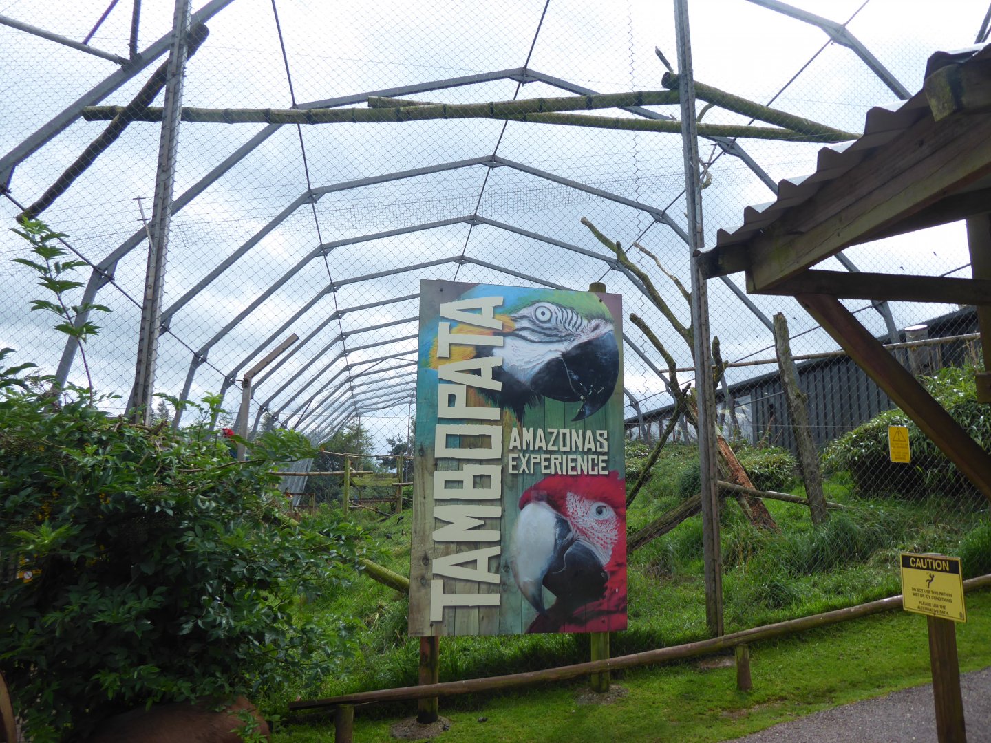 Tambopata Amazonas Experience 020817