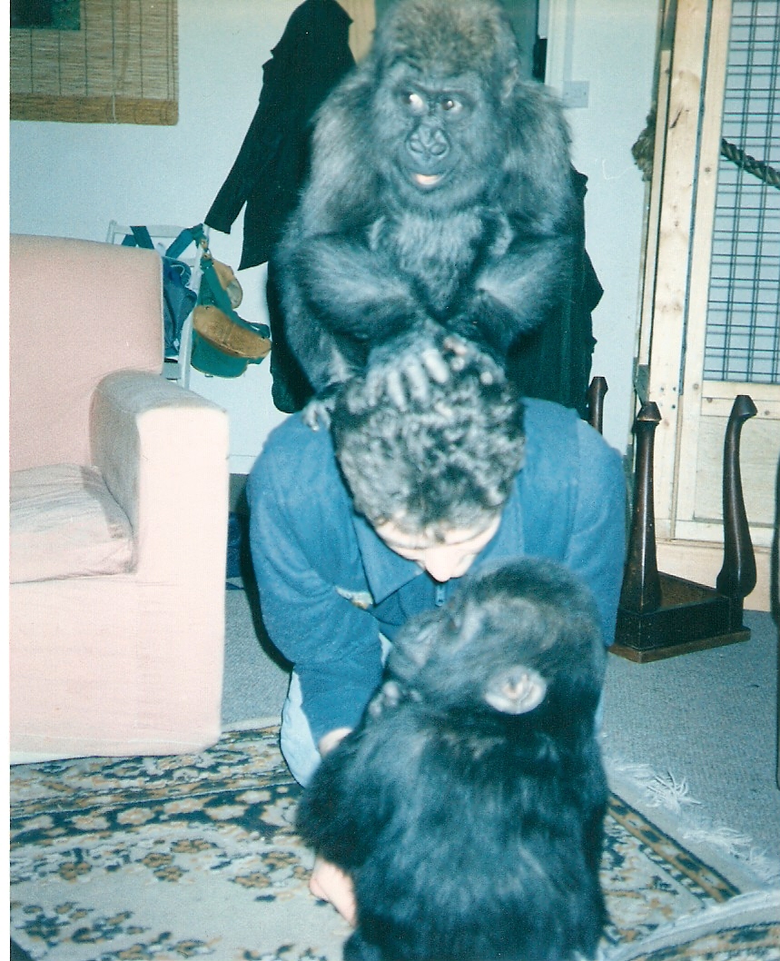 Tamki baby pictures at Howletts 1990/91