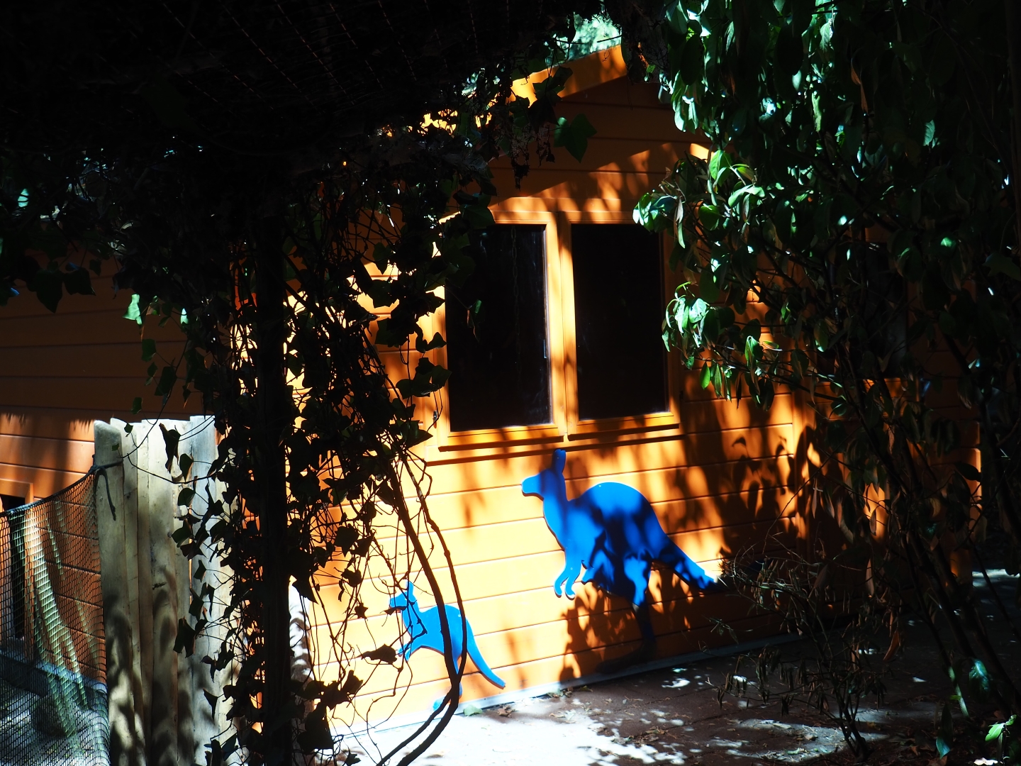 Tammar wallaby barn viewing windows