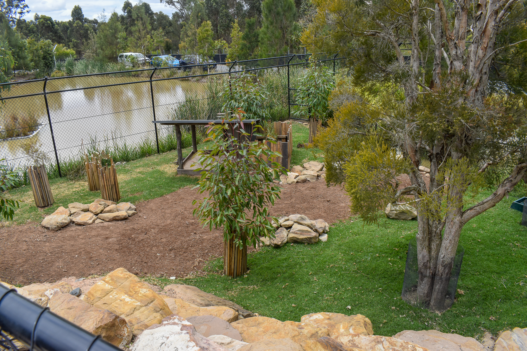Tammar Wallaby Enclosure