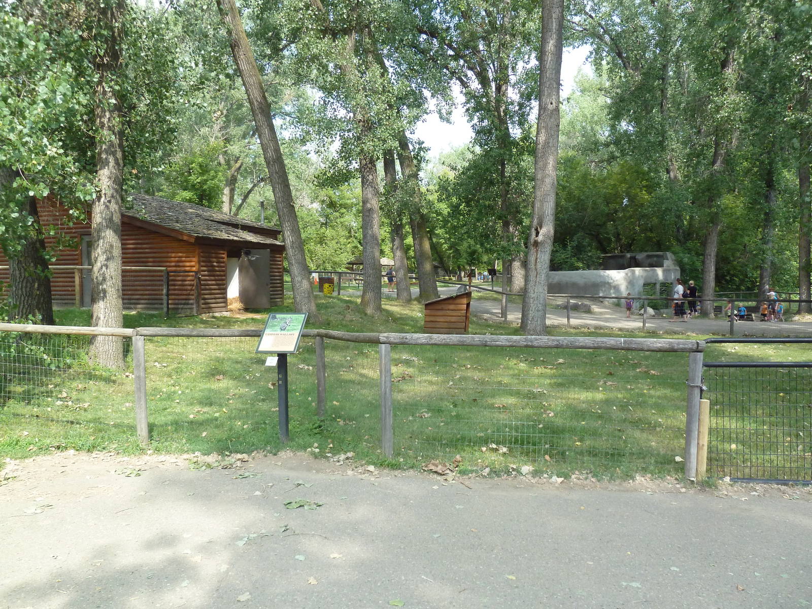 Tammar Wallaby Exhibit