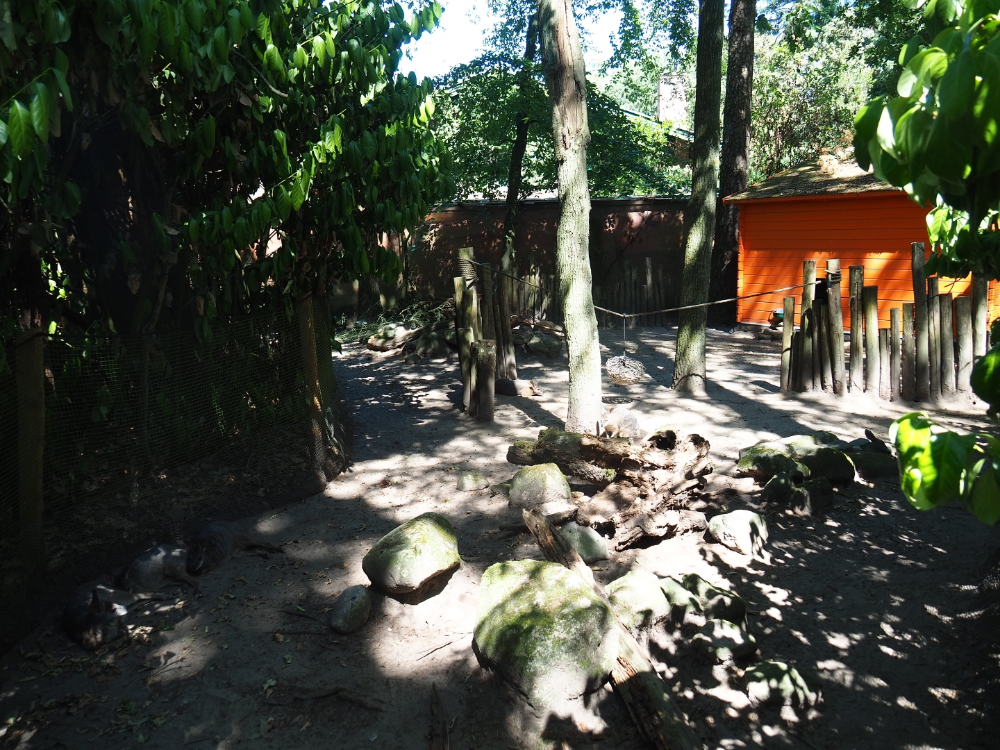 Tammar wallaby exhibit
