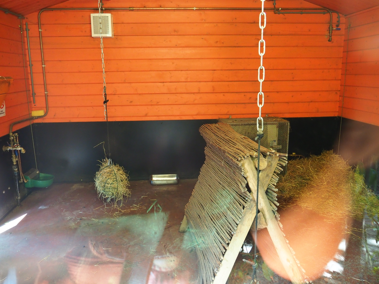 Tammar wallaby indoor housing