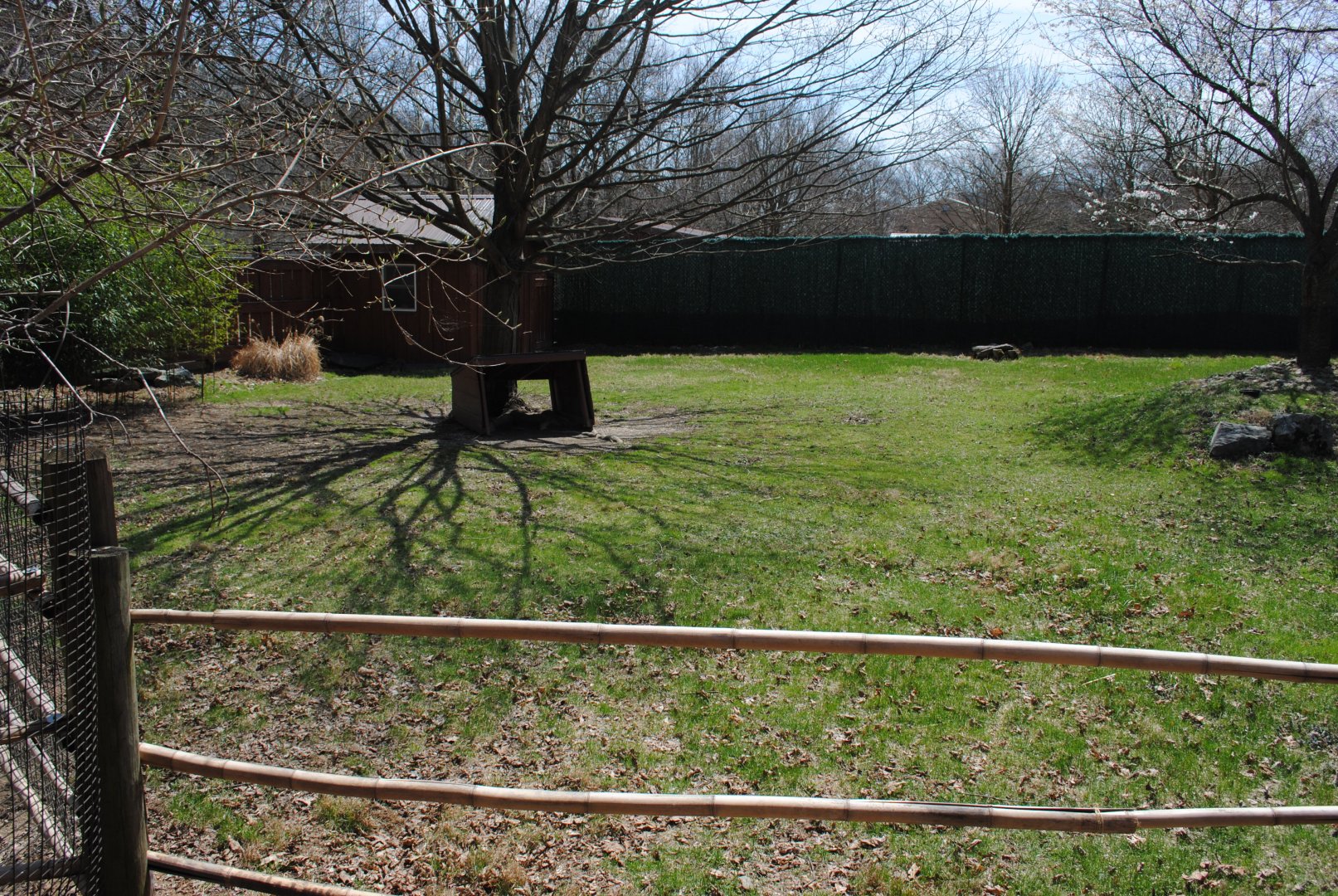 Tammar Wallaby Paddock