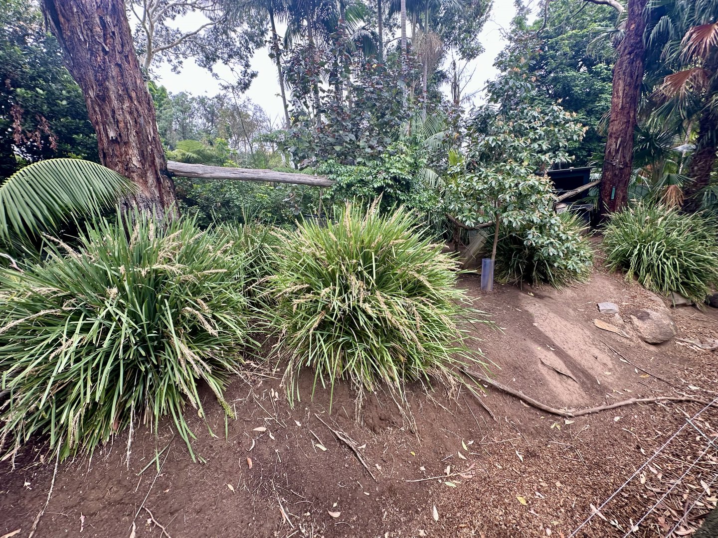 Tammar Wallaby/Quokka Exhibit