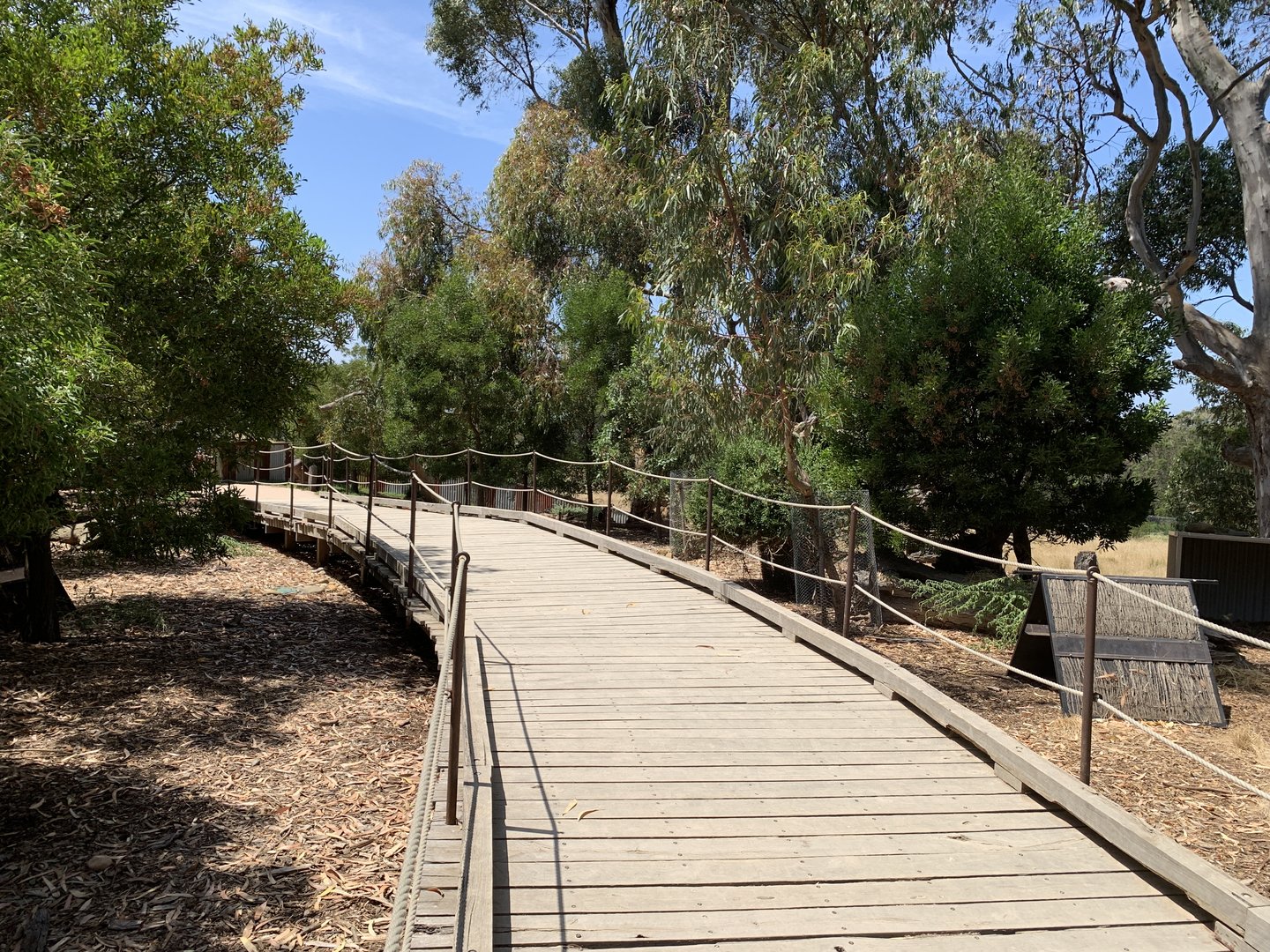 Tammar Wallaby Walk-thru