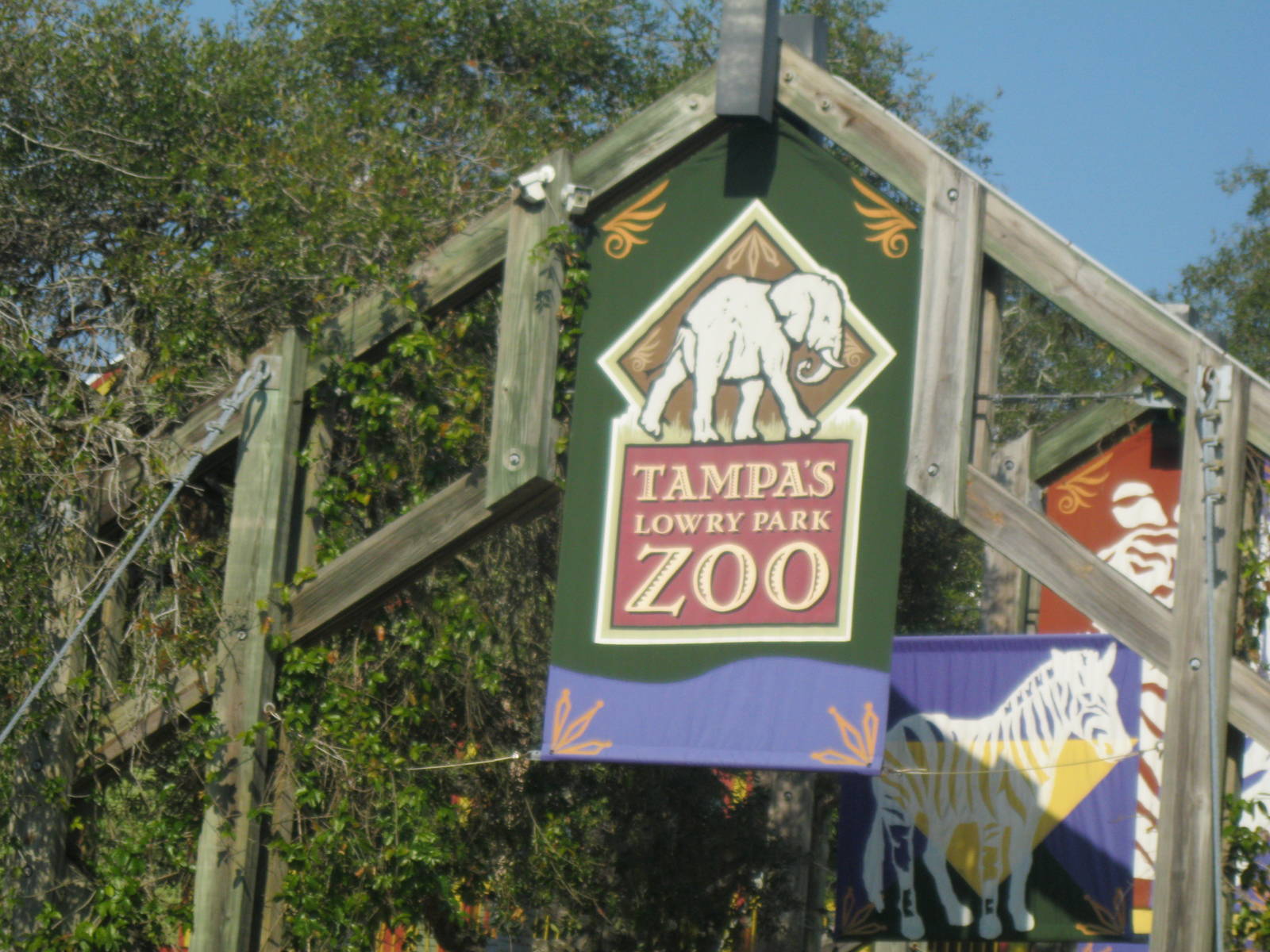 Tampa's Lowry Park Zoo Entry