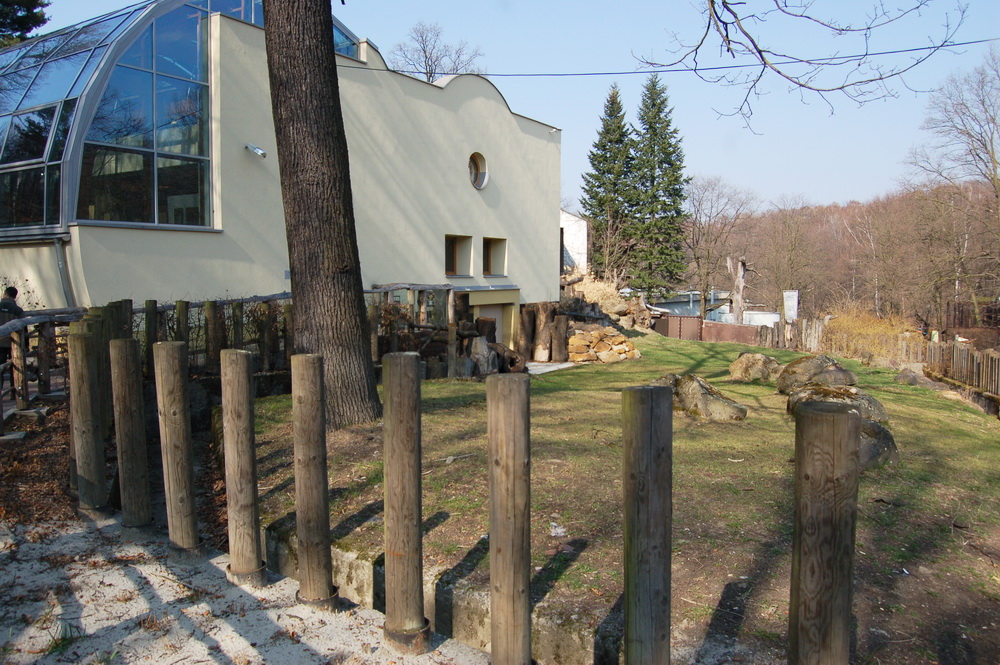 Tanganika at Ostrava Zoo
