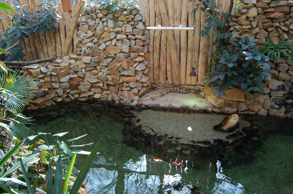 Tanganika at Ostrava Zoo