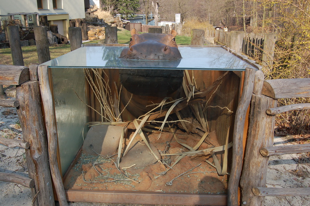 Tanganika at Ostrava Zoo