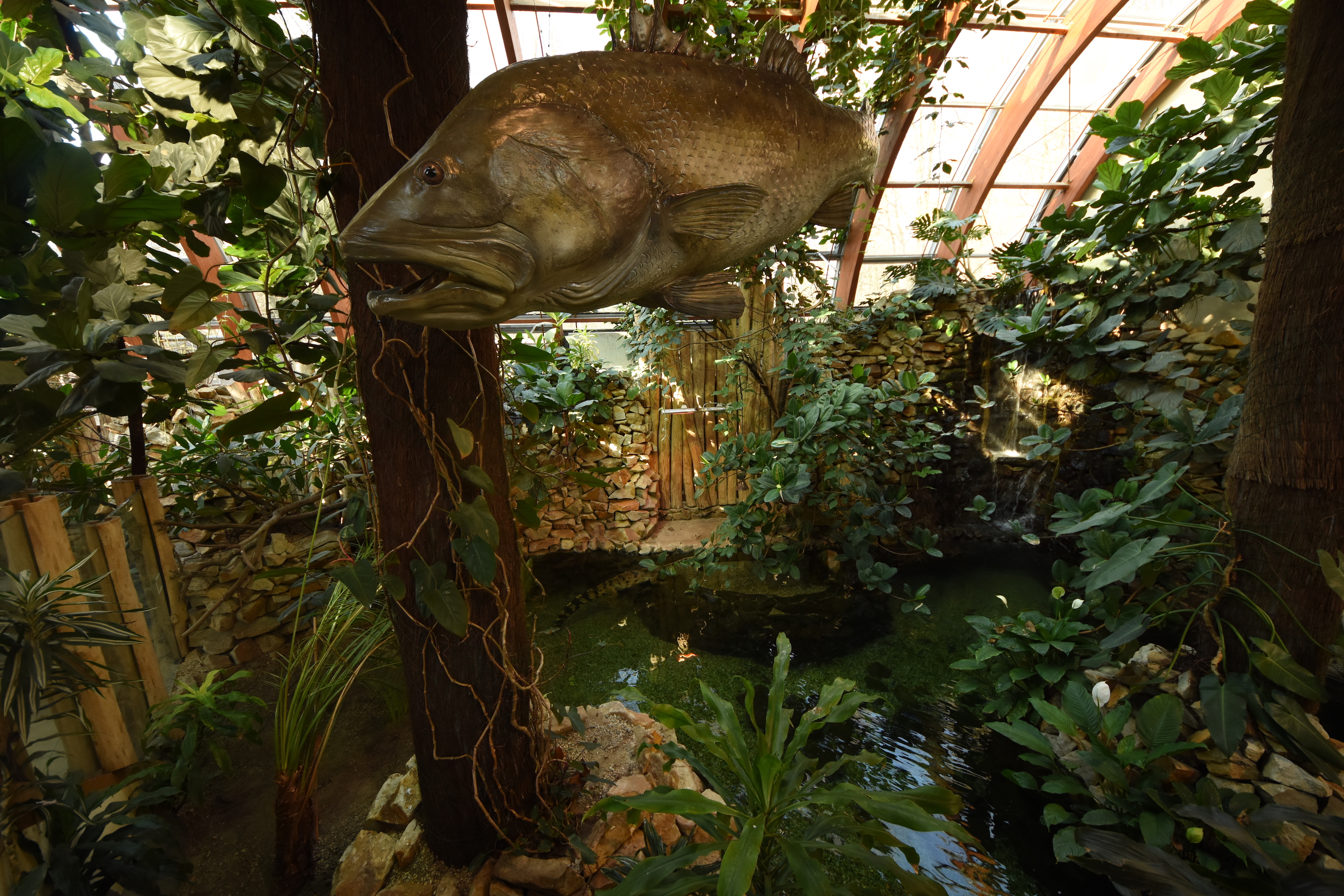 Tanganyika house - Crocodile enclosure