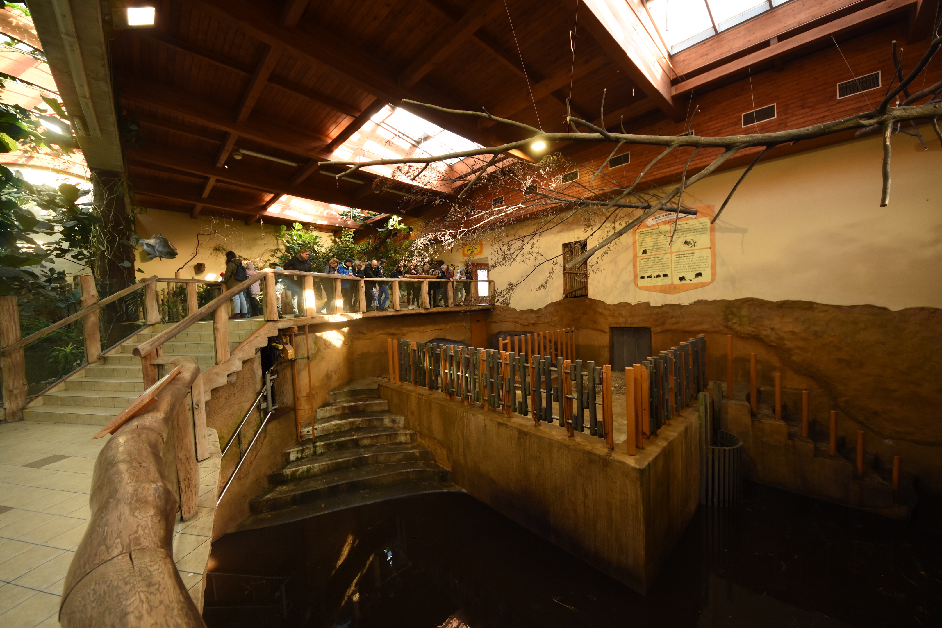 Tanganyika house - Hippo indoors