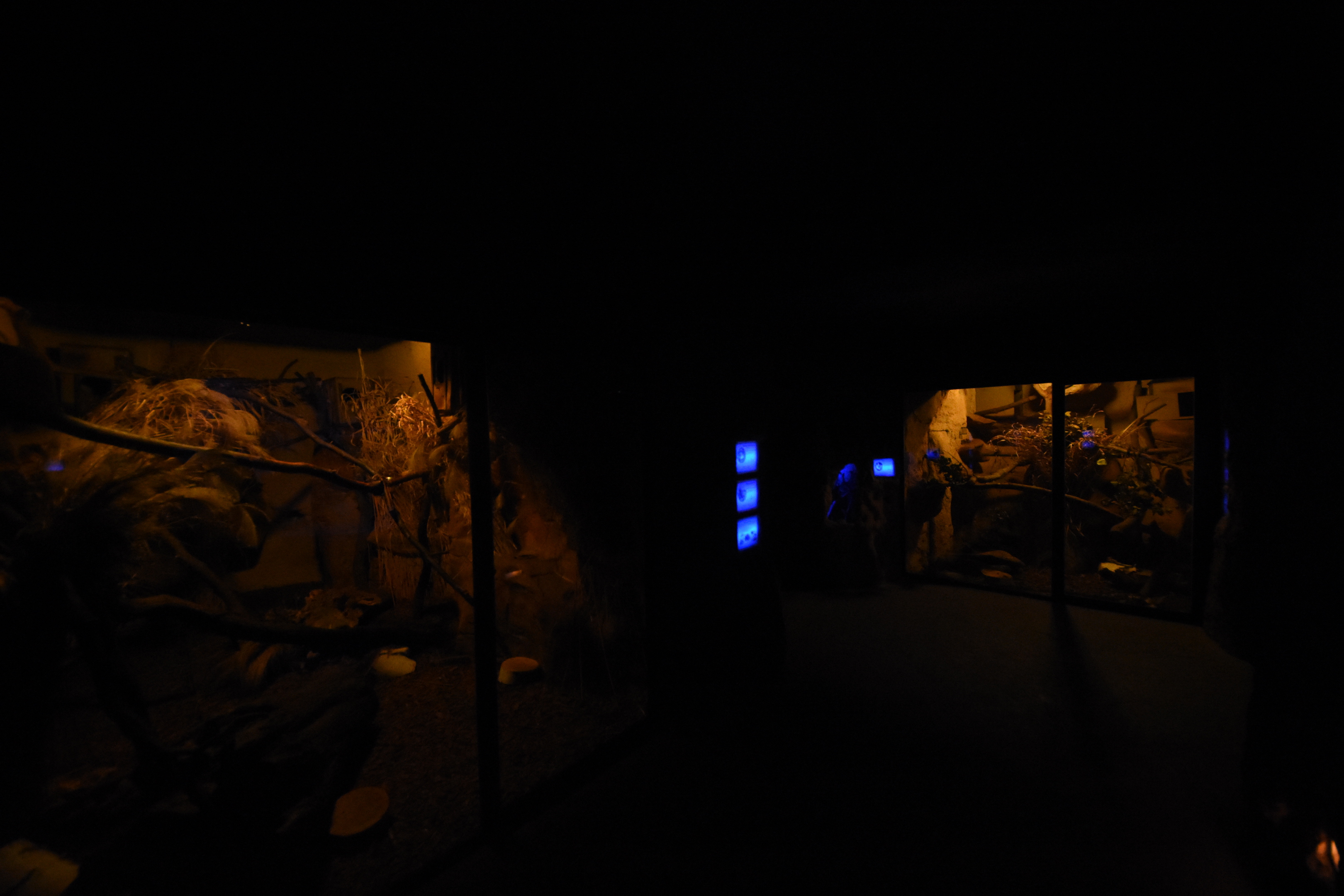 Tanganyika house - Night section