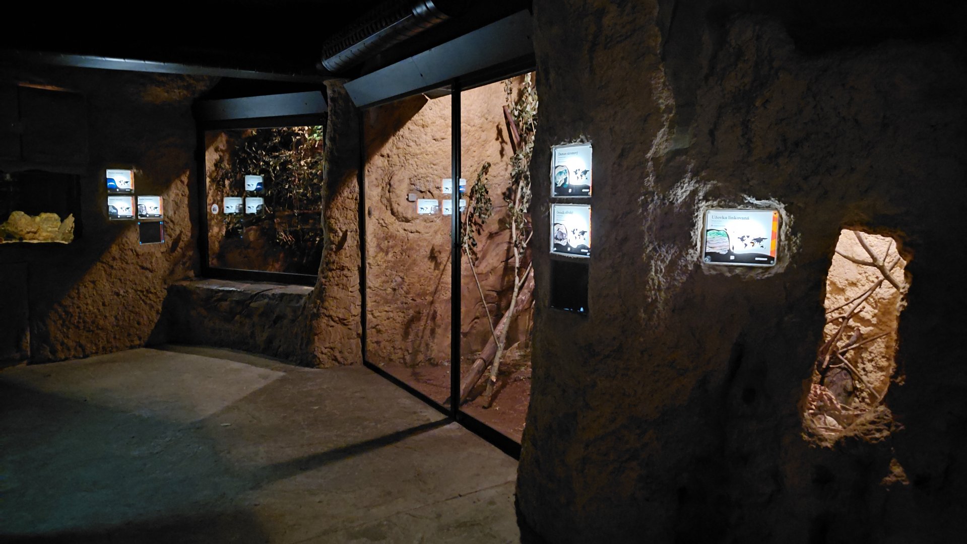 Tanganyika house - nocturnal section