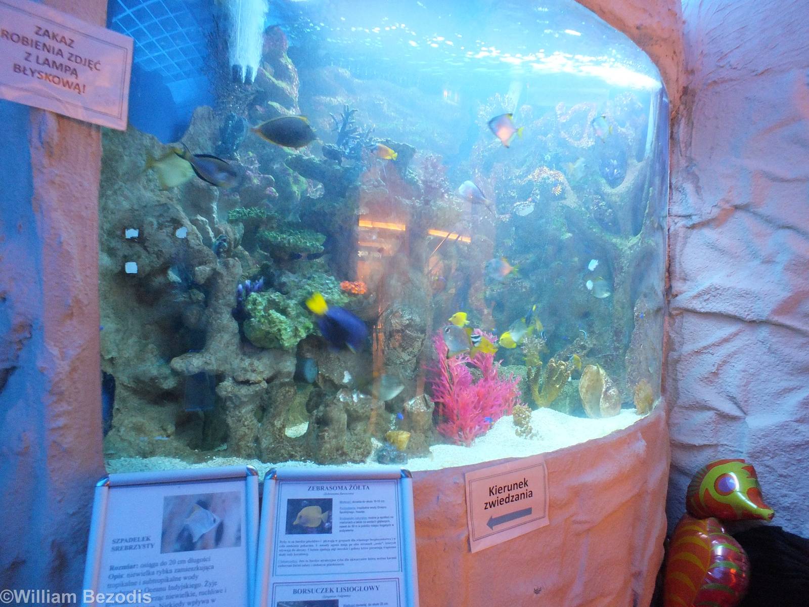 Tank at Entrance behind Ticket Counter