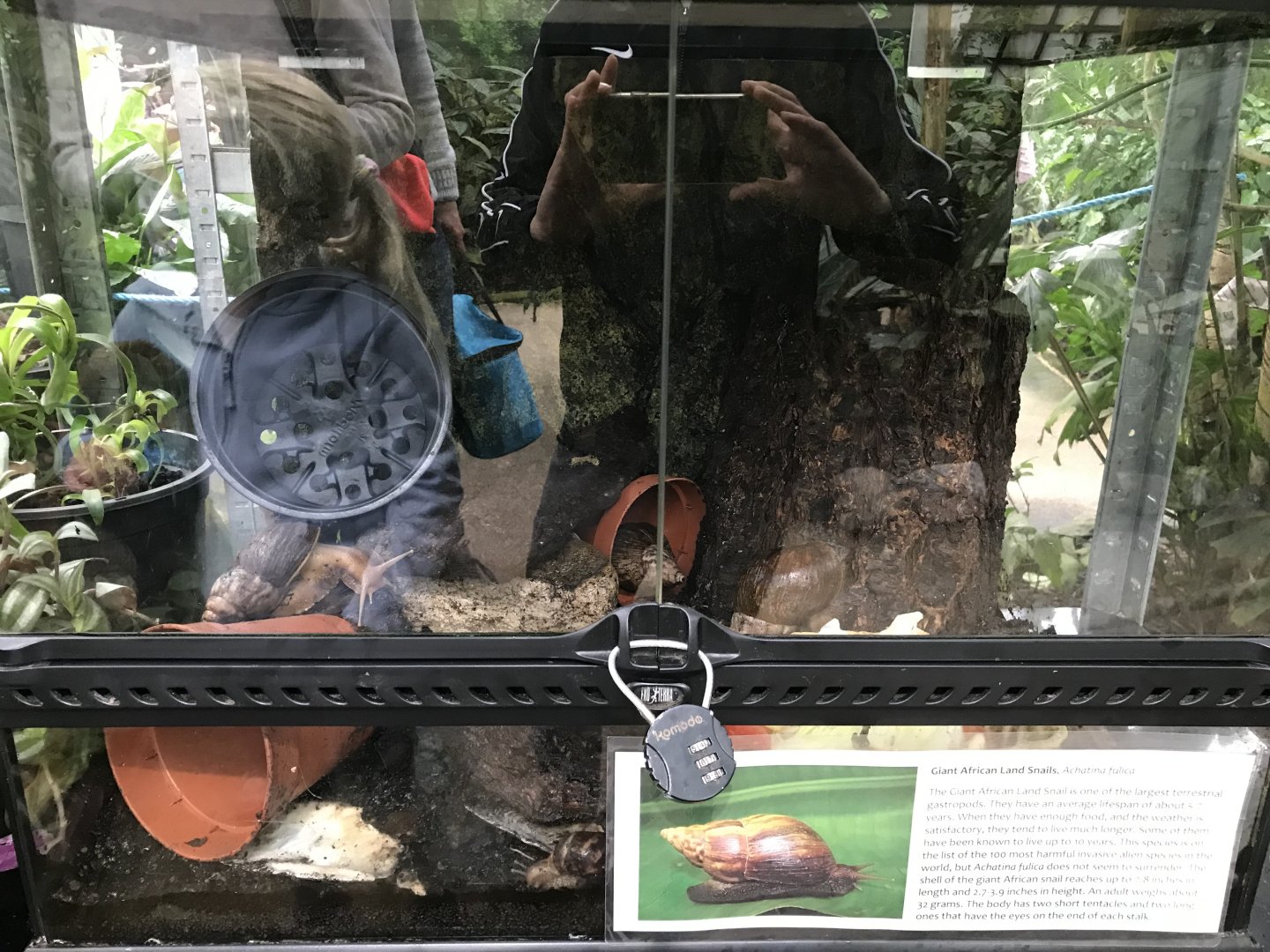 Tank at Landmark forest adventure park