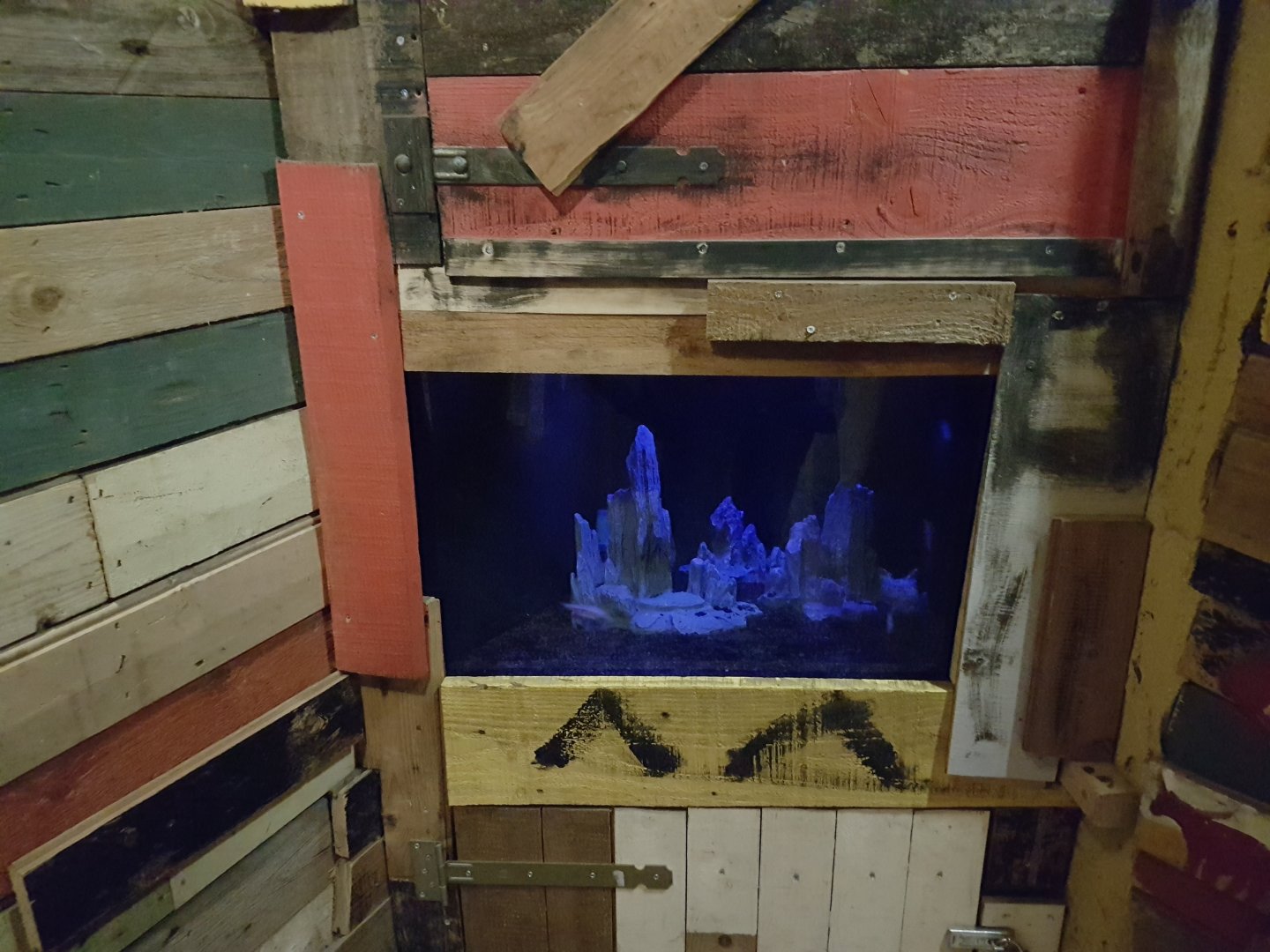 Tank Blind cave-fish