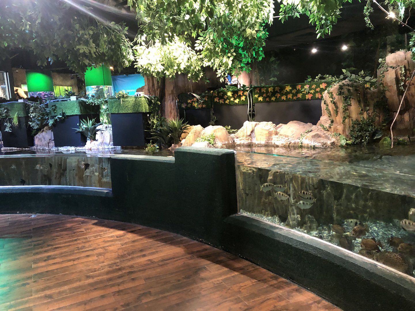 Tank by the jungle area path at the Emaar aquarium