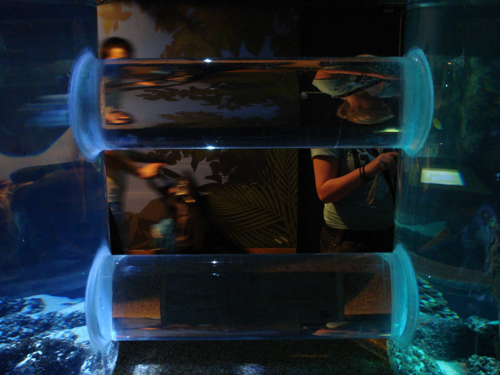 Tank connection in the conservation area, 02/05/2009