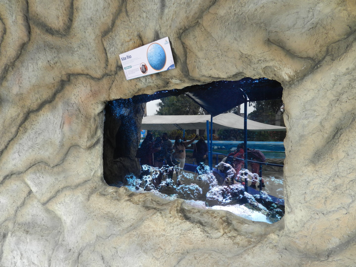 Tank example - Parque de Las Leyendas