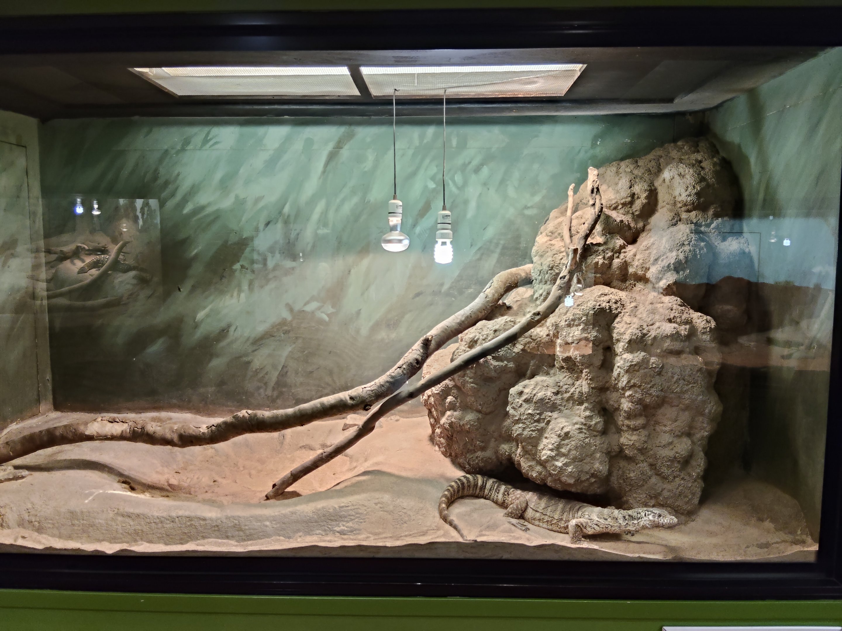 Tank examples - Spencer's Monitor