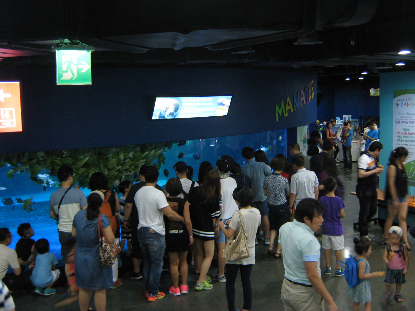 tank for African manatees (Trichechus senegalensis)