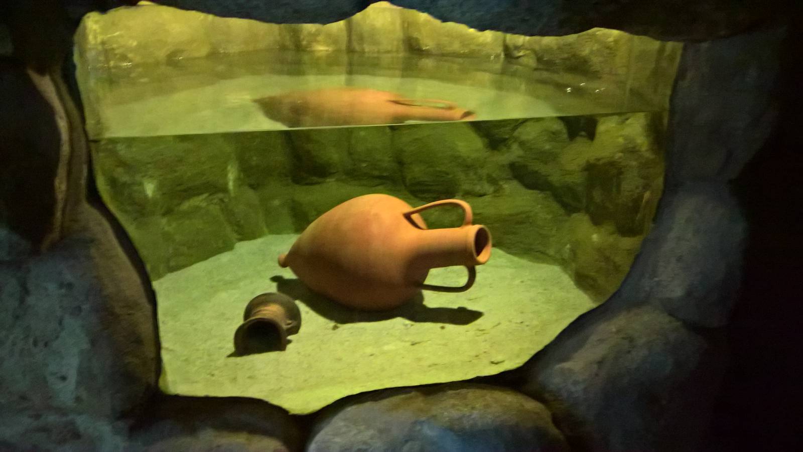 Tank for Blind Cave Tetra