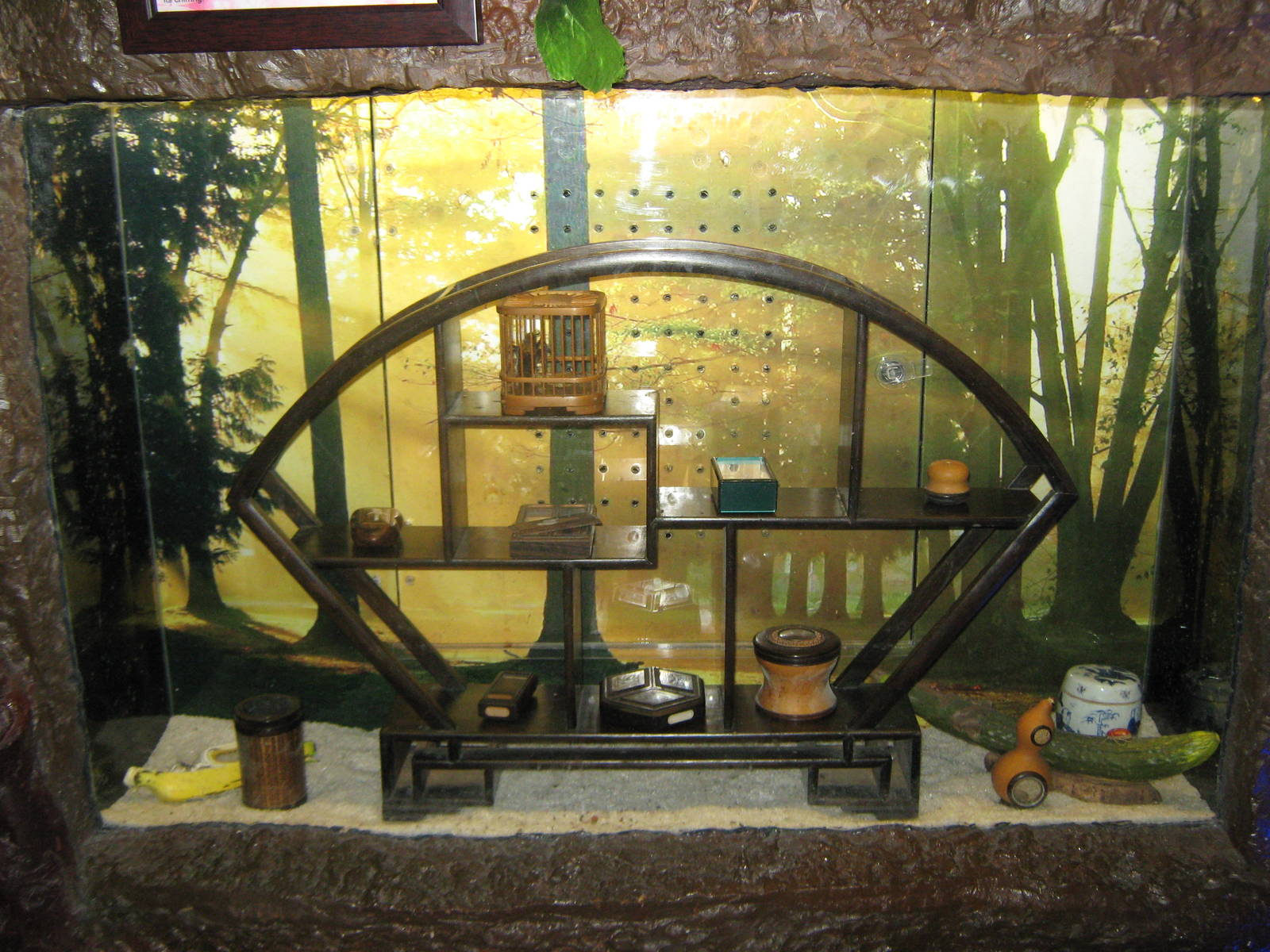 tank for Chinese bush cricket (Gampsocleis gratiosa)