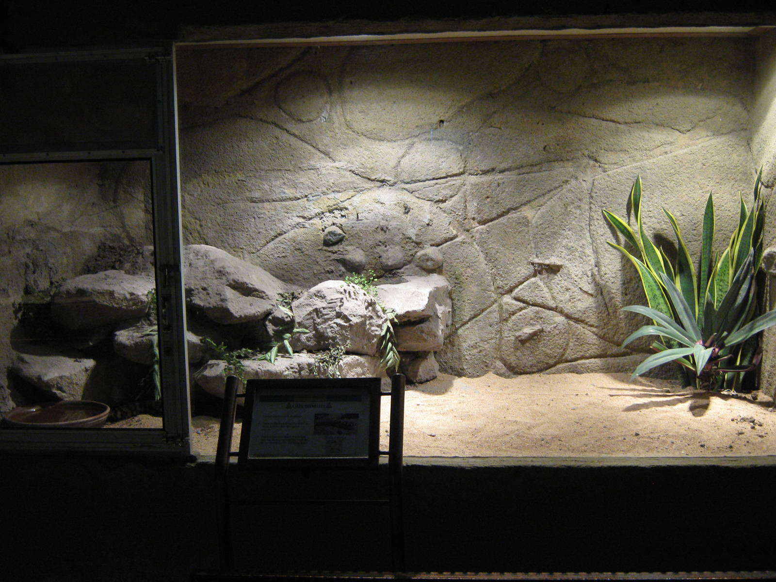 tank for Gila monster (Heloderma suspectum)