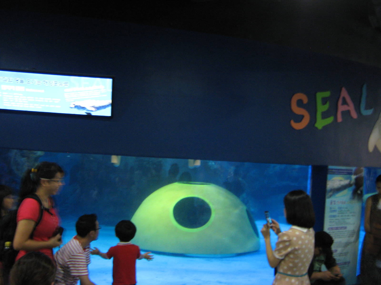 tank for harbour seal (Phoca vitulina)