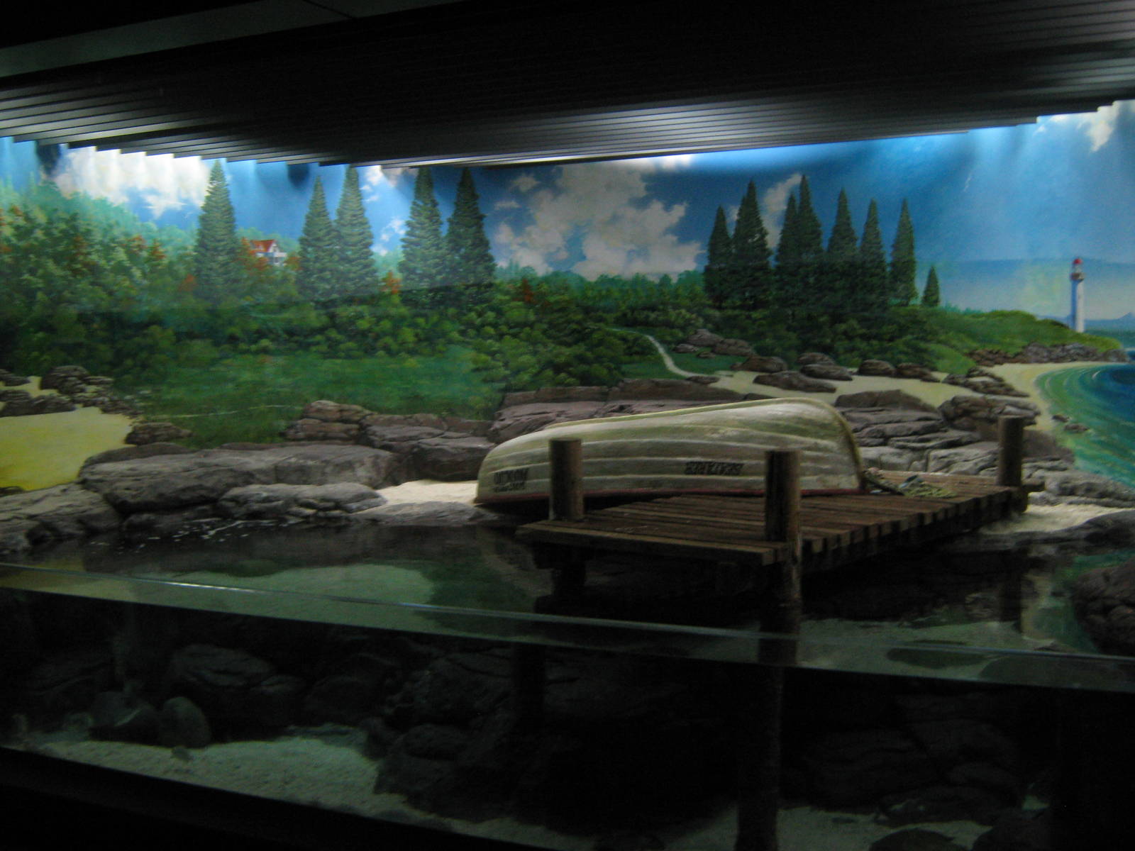 tank for horseshoe crab