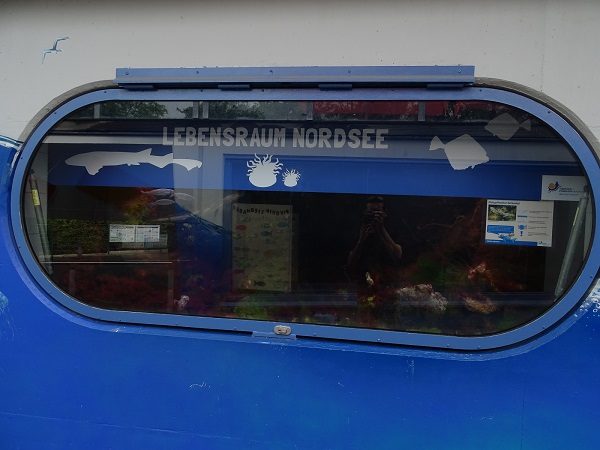 Tank for North Sea species (07/22)