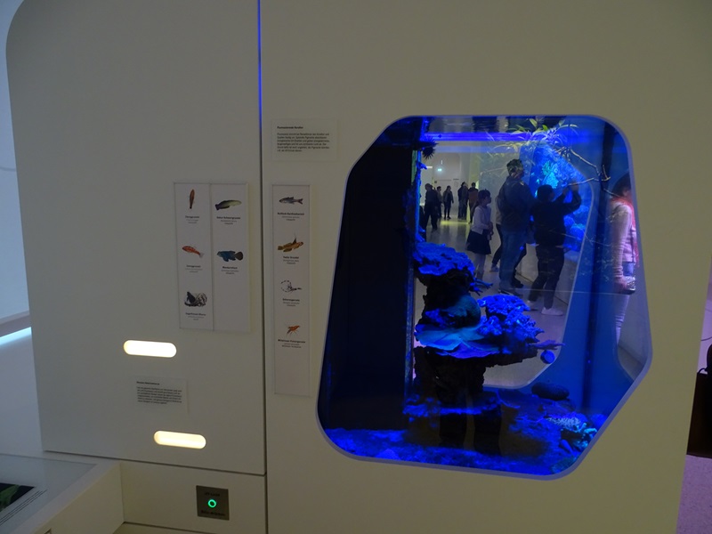 Tank for pipefish and gobies