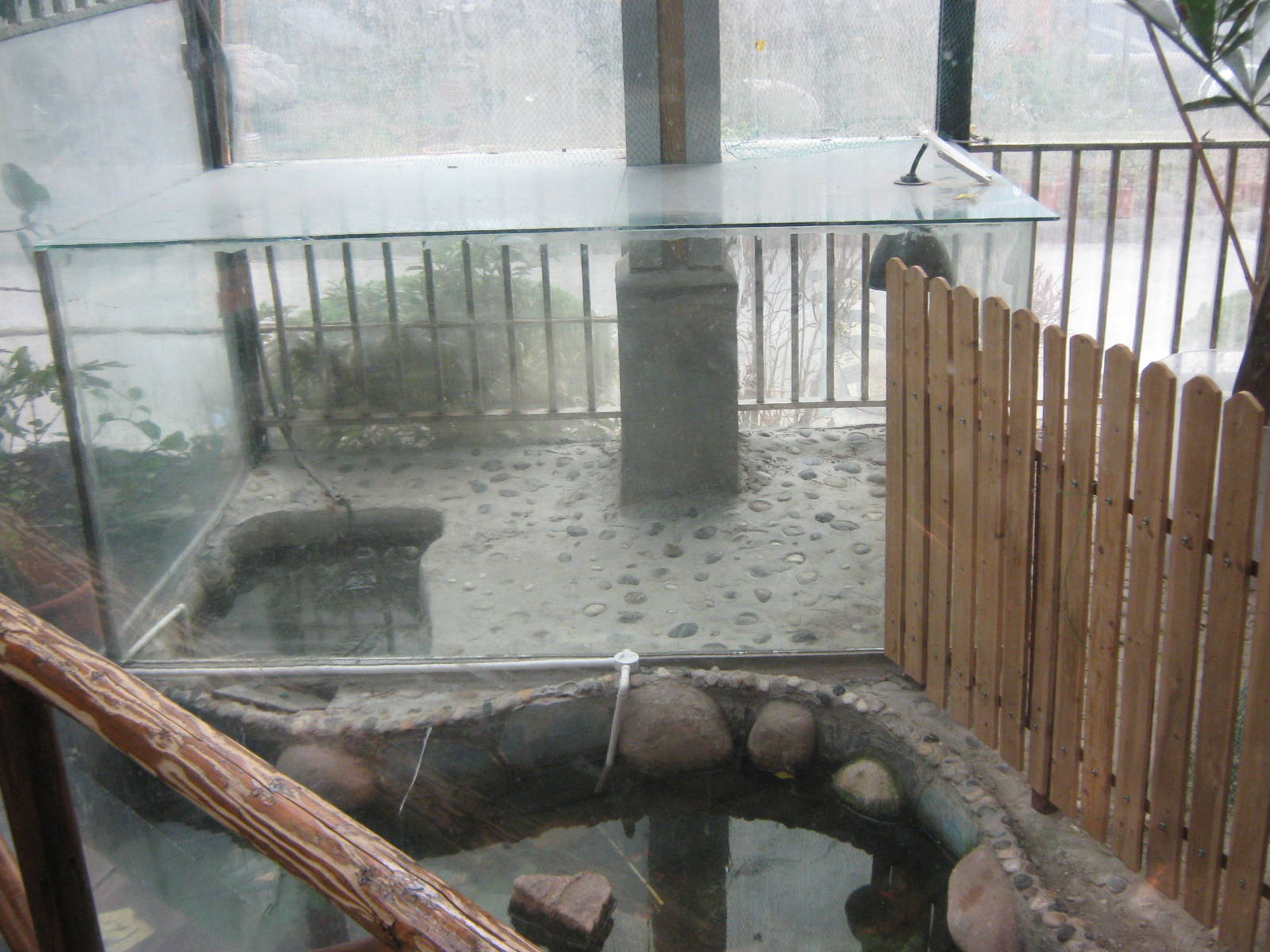 tank for saltwater crocodile (Crocodylus porosus)