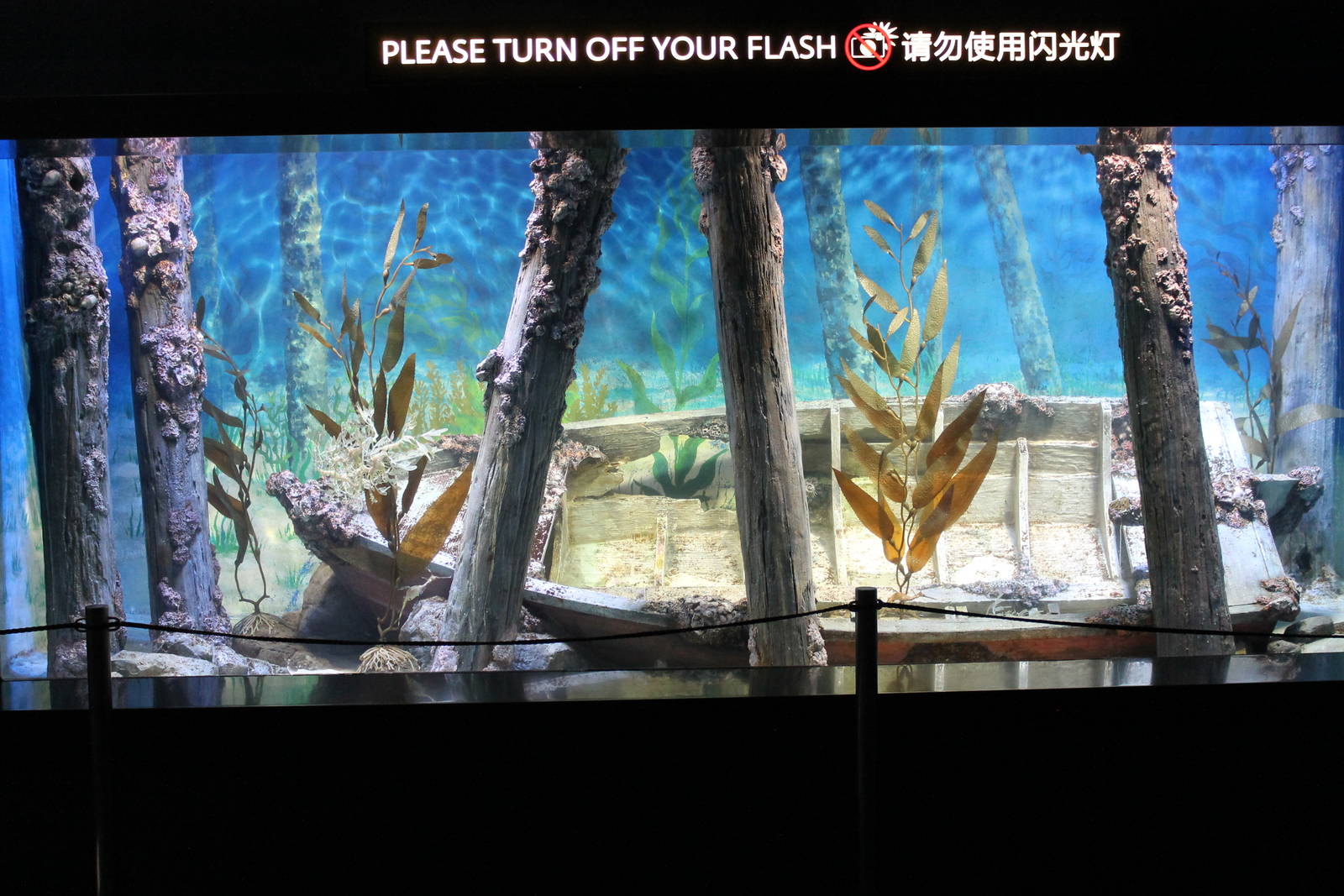 tank for sea-dragons