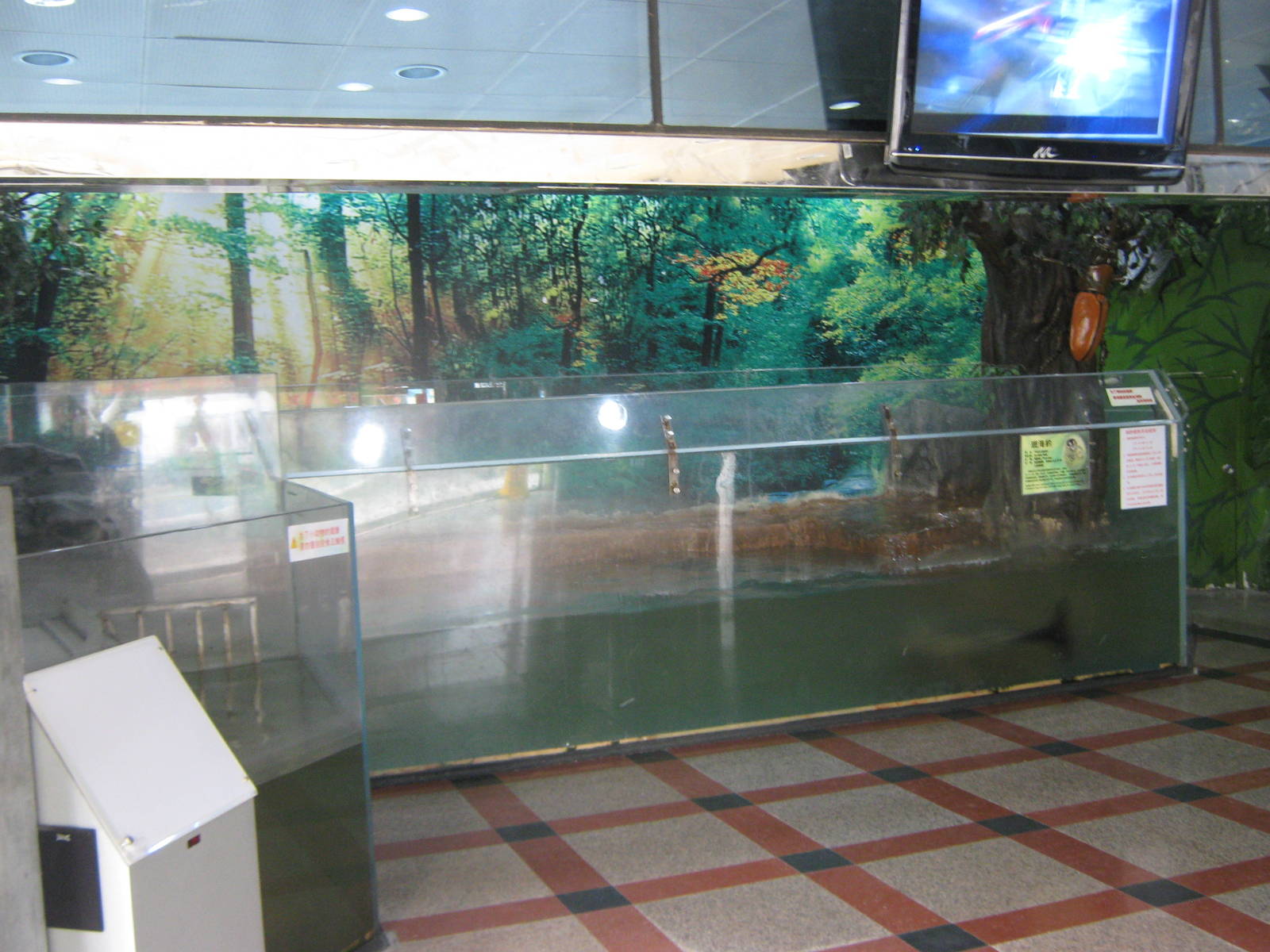 tank for spotted seal (Phoca largha)