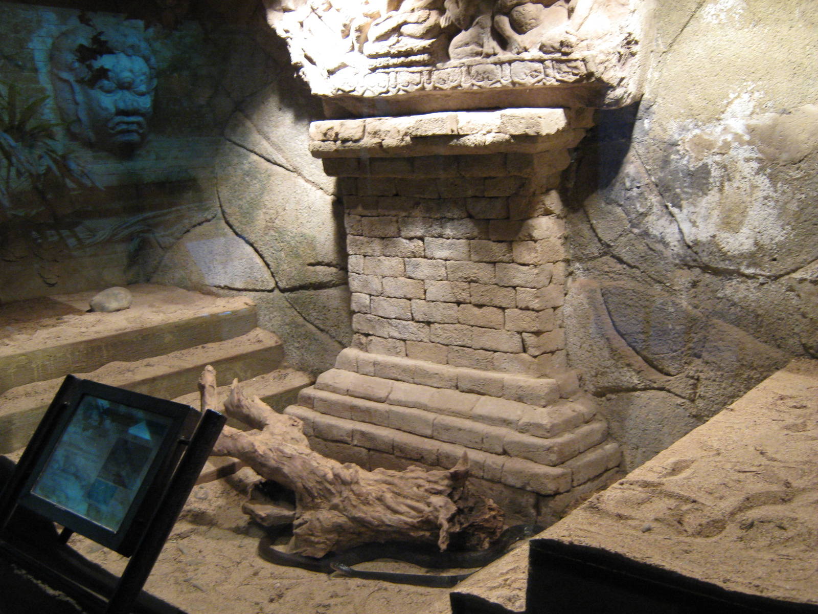 tank for taipan (Oxyuranus scutellatus)