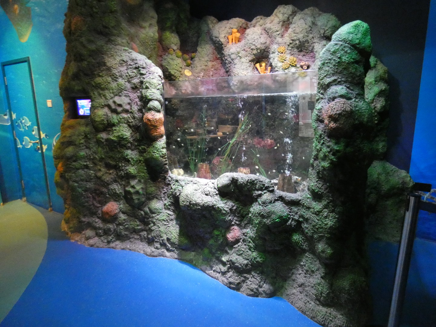 Tank in entrance area