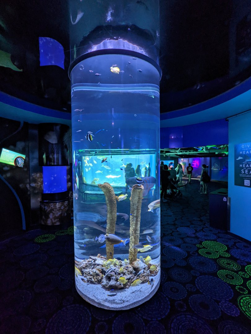 Tank in Waves of Wonder