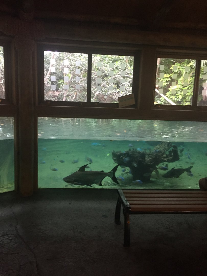 Tank in Wings of Asia