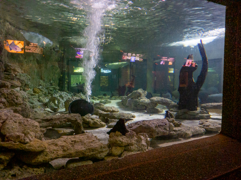 tank of Amazon river